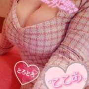 ヒメ日記 2026/01/26 14:34 投稿 心空（ここあ） ビッグバード