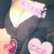 ヒメ日記 2026/02/06 16:14 投稿 心空（ここあ） ビッグバード