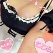 ヒメ日記 2026/02/23 17:47 投稿 心空（ここあ） ビッグバード