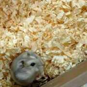 心空（ここあ） 急ですみません💦 ビッグバード