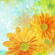 ヒメ日記 2025/05/14 17:03 投稿 さなえ 小田原人妻城