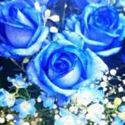 ヒメ日記 2025/05/18 06:42 投稿 さなえ 小田原人妻城