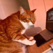 ヒメ日記 2025/06/10 23:48 投稿 さなえ 小田原人妻城