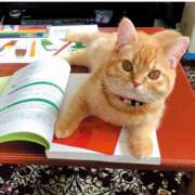 ヒメ日記 2025/06/11 10:27 投稿 さなえ 小田原人妻城