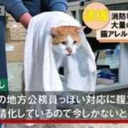 ヒメ日記 2025/06/19 06:12 投稿 さなえ 小田原人妻城