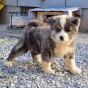 ヒメ日記 2025/06/21 20:49 投稿 さなえ 小田原人妻城