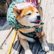 ヒメ日記 2025/07/05 22:47 投稿 さなえ 小田原人妻城