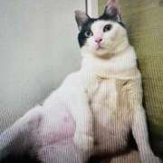 ヒメ日記 2025/08/08 13:22 投稿 さなえ 小田原人妻城