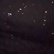 ヒメ日記 2025/05/12 19:28 投稿 蓮（れん） 熟女の風俗最終章 大宮店