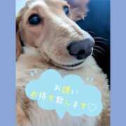 蓮（れん） 追伸！ 熟女の風俗最終章 大宮店