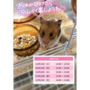 ヒメ日記 2026/01/12 12:50 投稿 さなえ スピードエコ天王寺店