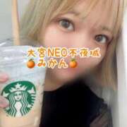 ヒメ日記 2025/05/13 12:52 投稿 みかん(新人割6/12まで) NEO不夜城