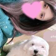 ヒメ日記 2026/03/09 16:10 投稿 オト★仙南限定 人妻生レンタル