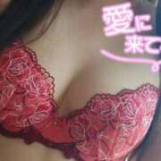 ヒメ日記 2025/05/29 10:56 投稿 めぐみ 千姫(道後)