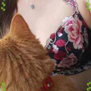 ヒメ日記 2025/11/16 13:36 投稿 めぐみ 千姫(道後)