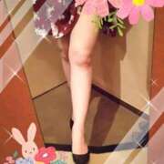 ヒメ日記 2026/05/09 11:57 投稿 めぐみ 千姫(道後)