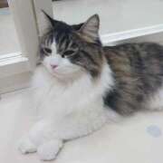 ヒメ日記 2026/01/05 13:57 投稿 みお 素人妻達☆マイふぇらレディー