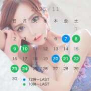 ヒメ日記 2025/09/14 14:13 投稿 及川真琴 ハールブルク