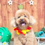 ヒメ日記 2025/10/16 08:28 投稿 及川真琴 ハールブルク