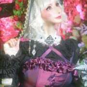 ヒメ日記 2025/11/08 09:02 投稿 及川真琴 ハールブルク