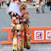 ヒメ日記 2025/11/17 08:24 投稿 及川真琴 ハールブルク
