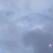 ヒメ日記 2025/05/17 17:46 投稿 かよ 千葉柏ちゃんこ