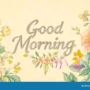 ヒメ日記 2025/05/26 10:36 投稿 かよ 千葉柏ちゃんこ