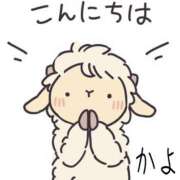 ヒメ日記 2025/05/27 11:46 投稿 かよ 千葉柏ちゃんこ