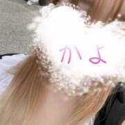 ヒメ日記 2025/05/29 10:36 投稿 かよ 千葉柏ちゃんこ