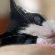 ヒメ日記 2025/06/02 10:42 投稿 かよ 千葉柏ちゃんこ