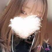 ヒメ日記 2025/06/05 11:45 投稿 かよ 千葉柏ちゃんこ