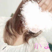 ヒメ日記 2025/06/05 18:04 投稿 かよ 千葉柏ちゃんこ