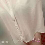 ヒメ日記 2025/06/19 10:39 投稿 かよ 千葉柏ちゃんこ