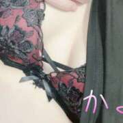 ヒメ日記 2025/07/01 16:13 投稿 かよ 千葉柏ちゃんこ