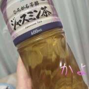 ヒメ日記 2025/07/10 23:41 投稿 かよ 千葉柏ちゃんこ