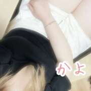 ヒメ日記 2025/07/29 20:23 投稿 かよ 千葉柏ちゃんこ