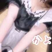 ヒメ日記 2025/08/04 01:08 投稿 かよ 千葉柏ちゃんこ