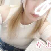 ヒメ日記 2025/08/11 18:17 投稿 かよ 千葉柏ちゃんこ