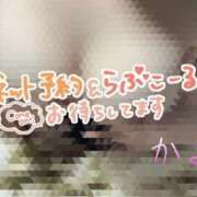 ヒメ日記 2025/08/16 11:37 投稿 かよ 千葉柏ちゃんこ