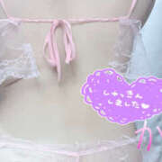 ヒメ日記 2025/08/24 17:32 投稿 かよ 千葉柏ちゃんこ