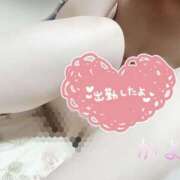 ヒメ日記 2025/09/06 11:20 投稿 かよ 千葉柏ちゃんこ