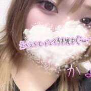 ヒメ日記 2025/09/07 20:14 投稿 かよ 千葉柏ちゃんこ