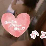 ヒメ日記 2025/09/11 09:57 投稿 かよ 千葉柏ちゃんこ