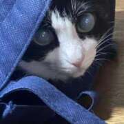 ヒメ日記 2025/09/14 18:15 投稿 かよ 千葉柏ちゃんこ