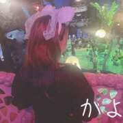 ヒメ日記 2025/09/17 15:45 投稿 かよ 千葉柏ちゃんこ