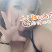 ヒメ日記 2025/10/03 20:31 投稿 かよ 千葉柏ちゃんこ