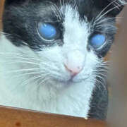 ヒメ日記 2025/10/12 15:13 投稿 かよ 千葉柏ちゃんこ