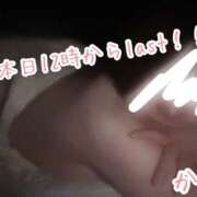 ヒメ日記 2025/10/13 09:14 投稿 かよ 千葉柏ちゃんこ