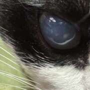 ヒメ日記 2025/10/25 16:18 投稿 かよ 千葉柏ちゃんこ