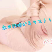 ヒメ日記 2025/10/26 12:01 投稿 かよ 千葉柏ちゃんこ